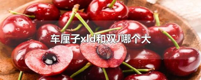 车厘子xld和双J哪个大 车厘子xld和双J哪个大
