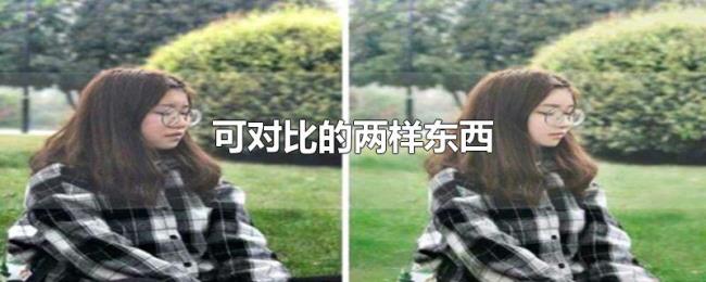 可对比的两样东西 可对比的两样东西