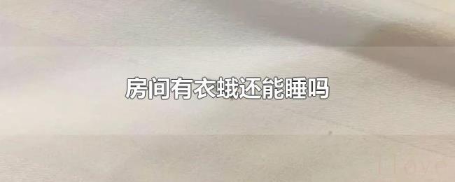 房间有衣蛾还能睡吗 房间有衣蛾还能睡吗