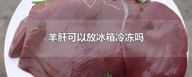 羊肝可以放冰箱冷冻吗 羊肝可以放冰箱冷冻吗