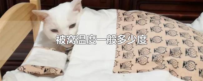 被窝温度一般多少度 被窝温度一般多少度