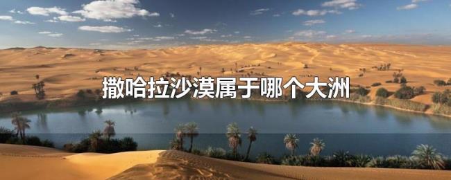 撒哈拉沙漠属于哪个大洲 撒哈拉沙漠属于哪个大洲