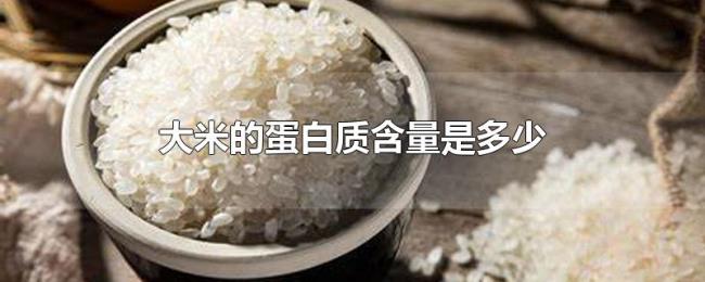 大米的蛋白质含量是多少 大米的蛋白质含量是多少