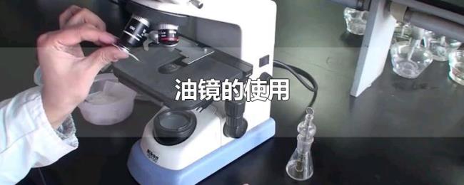 油镜的使用 油镜的使用