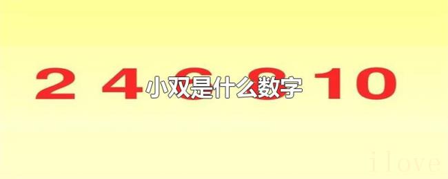 小双是什么数字