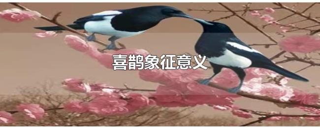 喜鹊象征意义 喜鹊象征意义