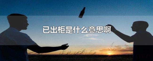已出柜是什么意思啊 已出柜是什么意思啊