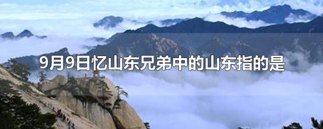 9月9日忆山东兄弟中的山东指的是