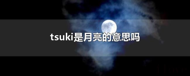 tsuki是月亮的意思吗 tsuki是月亮的意思吗