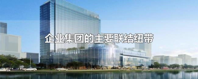 企业集团的主要联结纽带 企业集团的主要联结纽带