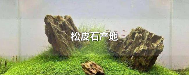 松皮石产地 松皮石产地
