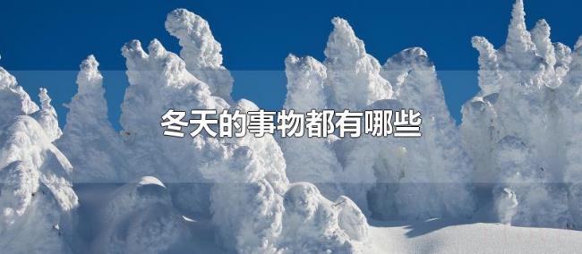 冬天的事物都有哪些