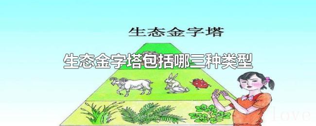 生态金字塔包括哪三种类型