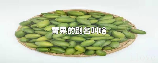 青果的别名叫啥 青果的别名叫啥