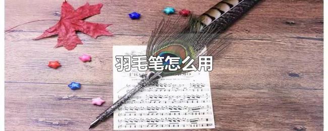 羽毛笔怎么用 羽毛笔怎么用