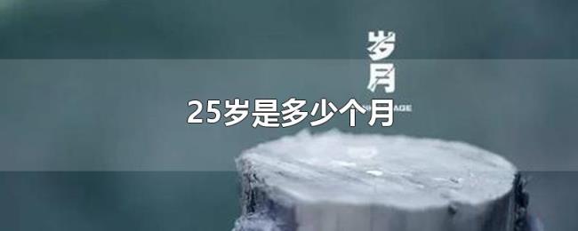 25岁是多少个月 25岁是多少个月