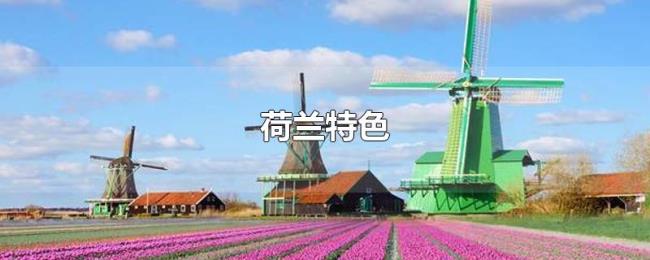 荷兰特色 荷兰特色
