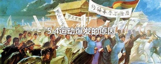 5.4运动爆发的原因 5.4运动爆发的原因