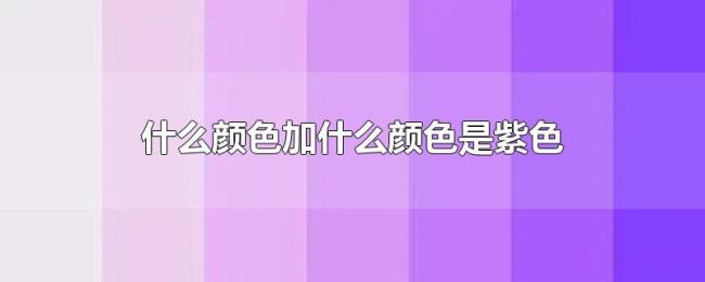 什么颜色加什么颜色是紫色