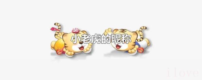 小老虎的昵称 小老虎的昵称
