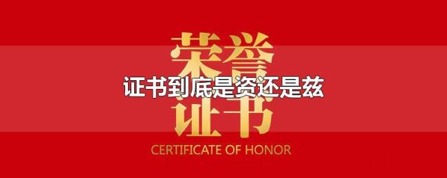 证书到底是资还是兹