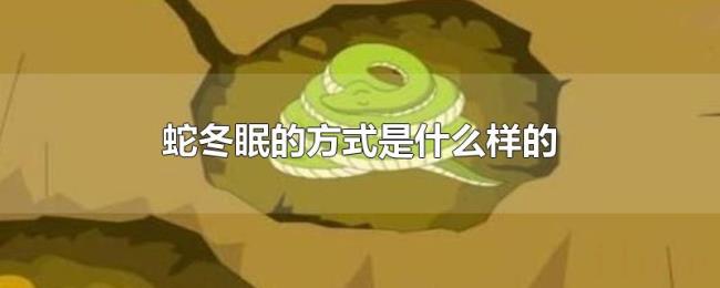 蛇冬眠的方式是什么样的