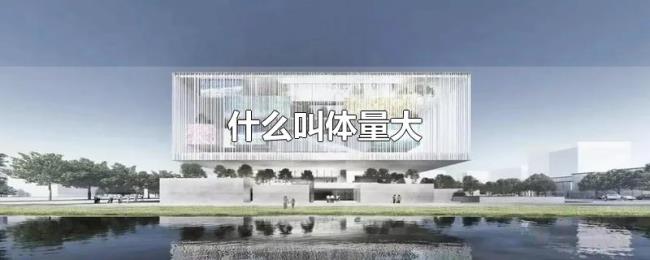 什么叫体量大 什么叫体量大