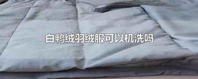 白鸭绒羽绒服可以机洗吗