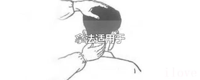 拿法适用于 拿法适用于
