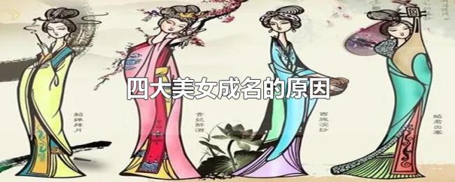 四大美女成名的原因