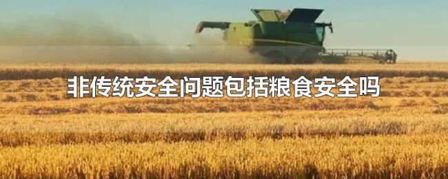 非传统安全问题包括粮食安全吗 非传统安全问题包括粮食安全吗