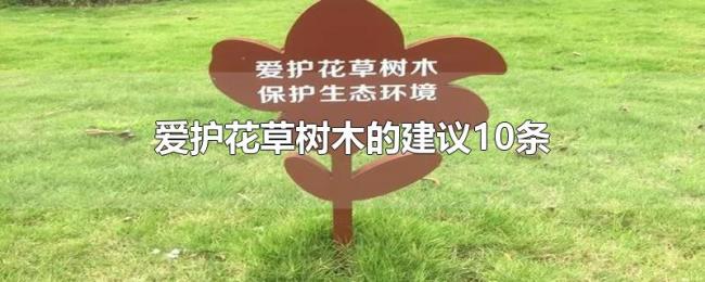 爱护花草树木的建议10条 爱护花草树木的建议10条