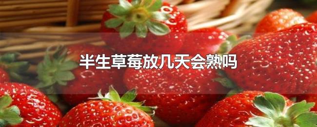 半生草莓放几天会熟吗