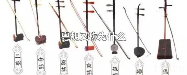粤胡又称为什么 粤胡又称为什么