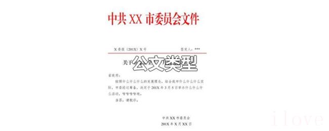 公文类型