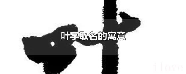 叶字取名的寓意 叶字取名的寓意