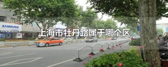 上海市牡丹路属于哪个区