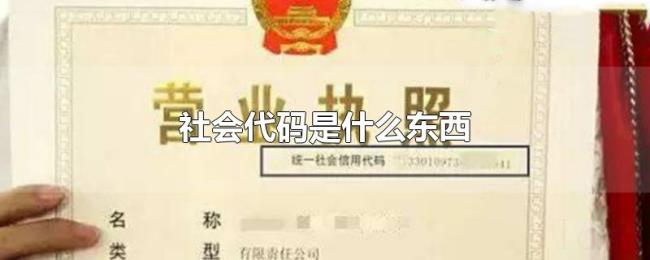 社会代码是什么东西 社会代码是什么东西