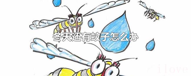 冬天还有蚊子怎么办