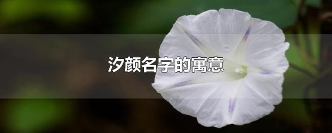 汐颜名字的寓意 汐颜名字的寓意