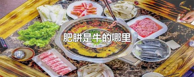 肥胼是牛的哪里 肥胼是牛的哪里