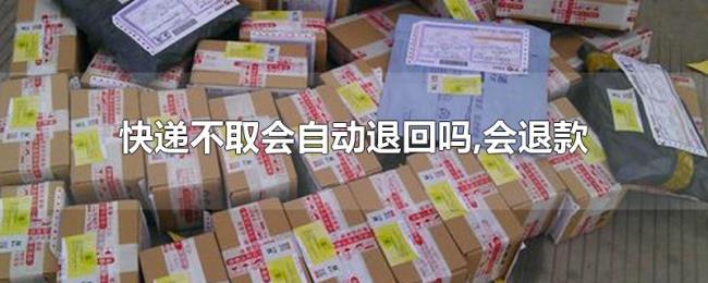 快递不取会自动退回吗,会退款