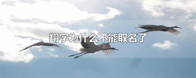 翔字为什么不能取名了 翔字为什么不能取名了