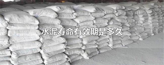 水泥寿命有效期是多久