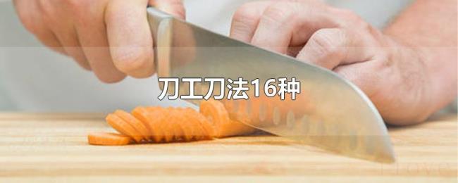 刀工刀法16种 刀工刀法16种