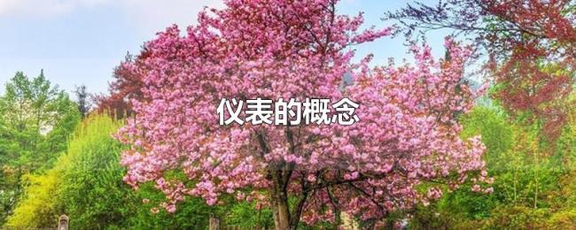 仪表的概念 仪表的概念