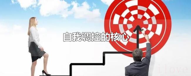 自我调控的核心 自我调控的核心