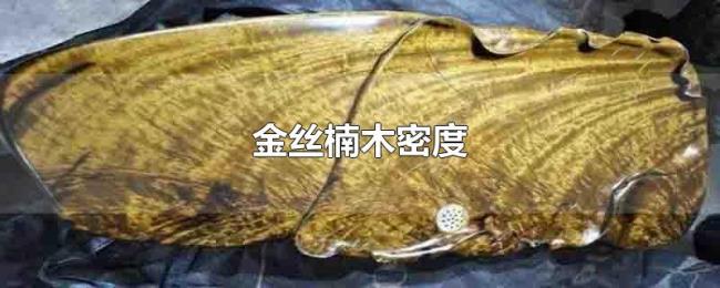金丝楠木密度 金丝楠木密度
