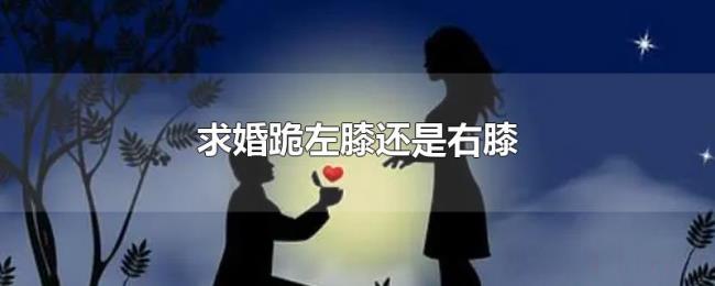 求婚跪左膝还是右膝 求婚跪左膝还是右膝
