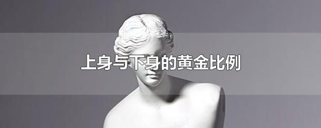 上身与下身的黄金比例 上身与下身的黄金比例